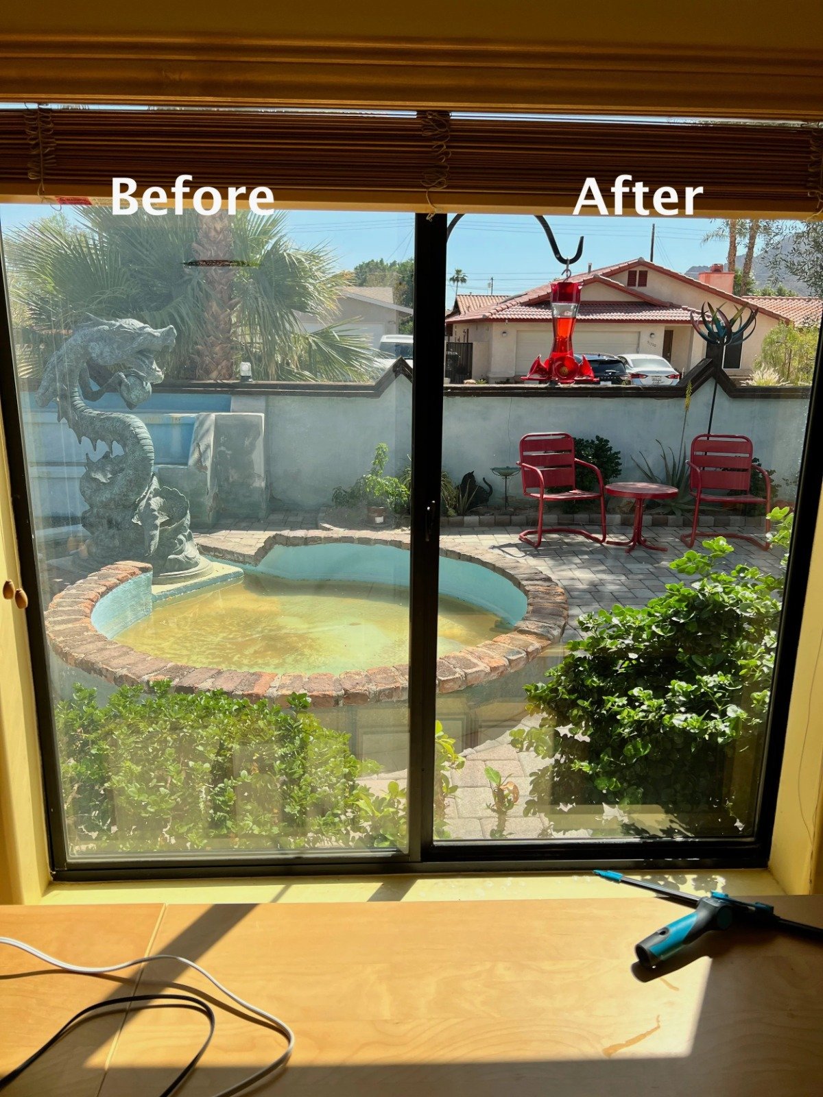 WhatsApp Image 2026-02-18 at 1.00