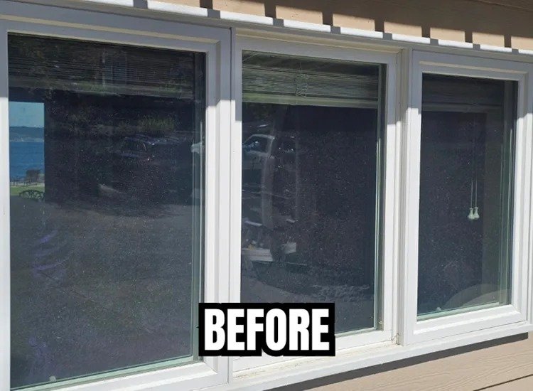 WhatsApp Image 2026-02-18 at 1.00