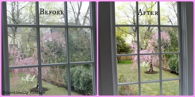 WhatsApp Image 2026-02-18 at 1.00