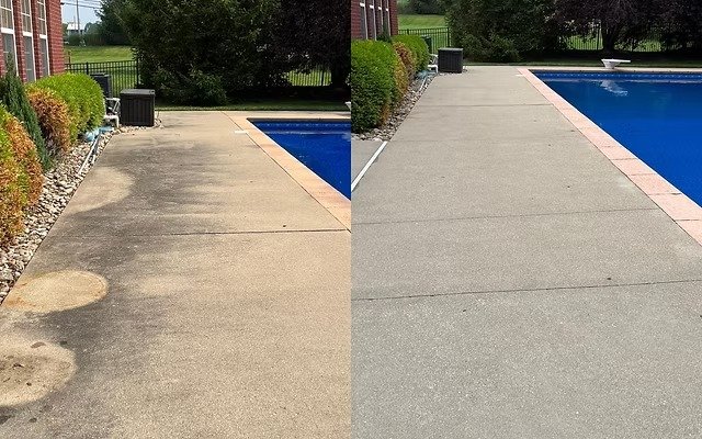 WhatsApp Image 2026-02-18 at 1.00